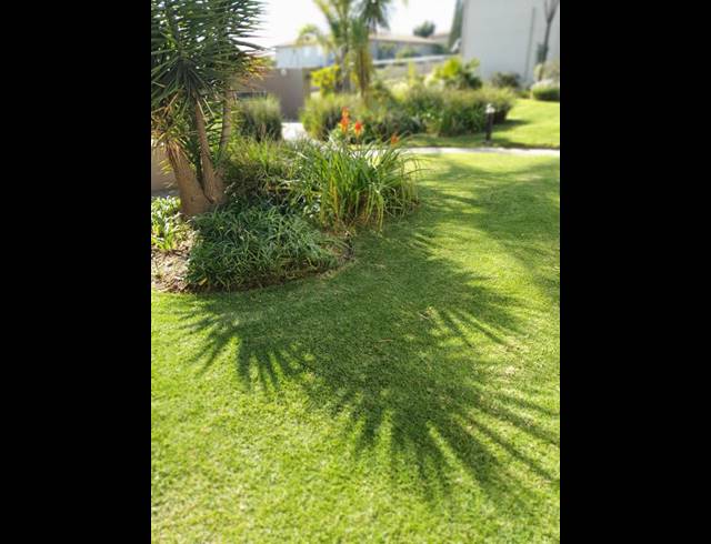 2 BEDROOM PROPERTY TO RENT IN RADIOKOP